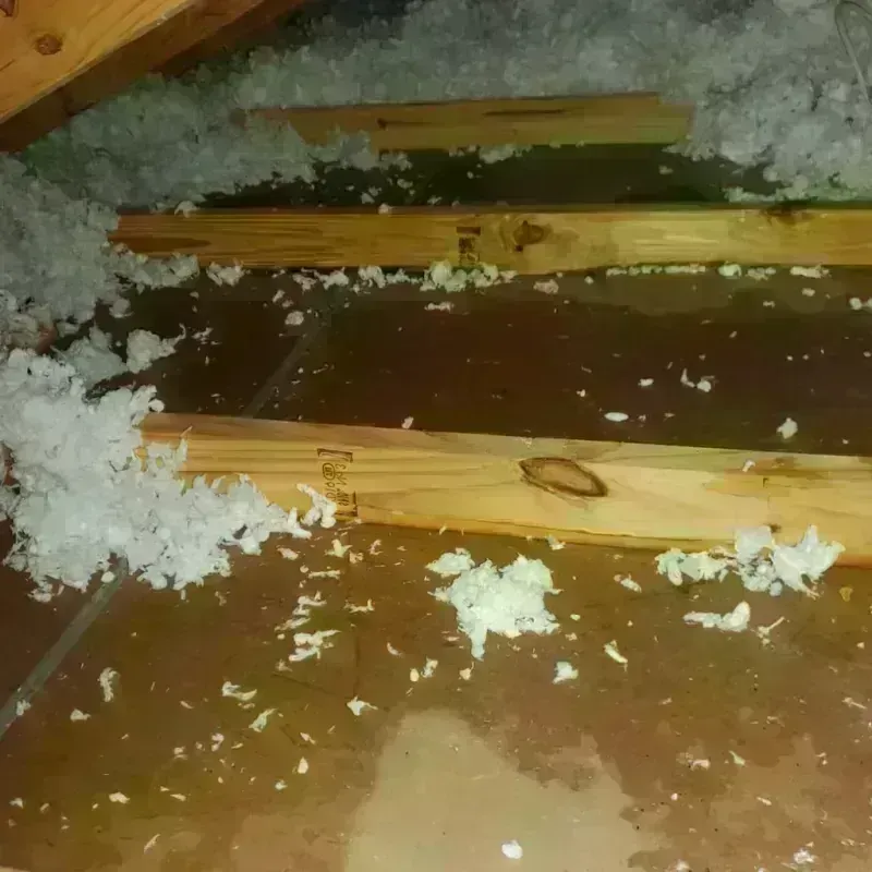 Attic Water Damage in Crestview, FL