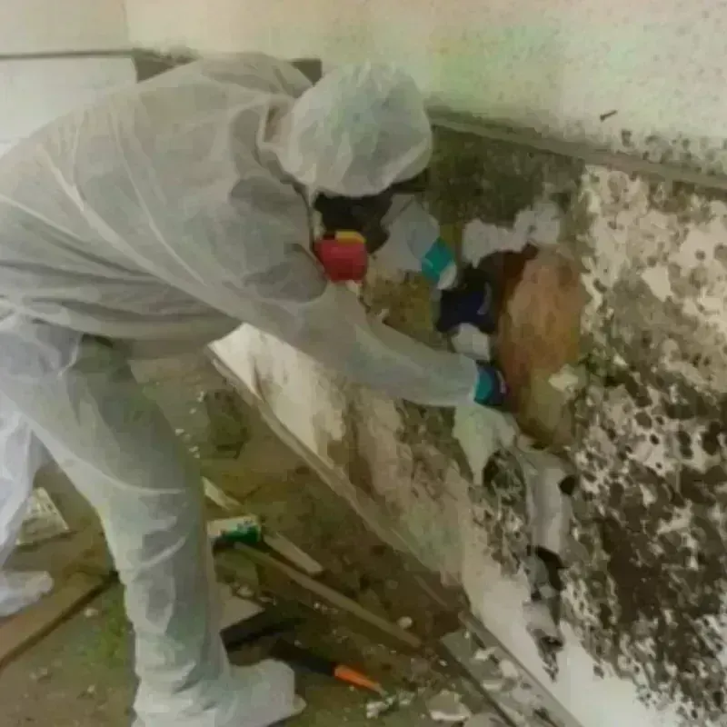 Mold Remediation and Removal in Crestview, FL