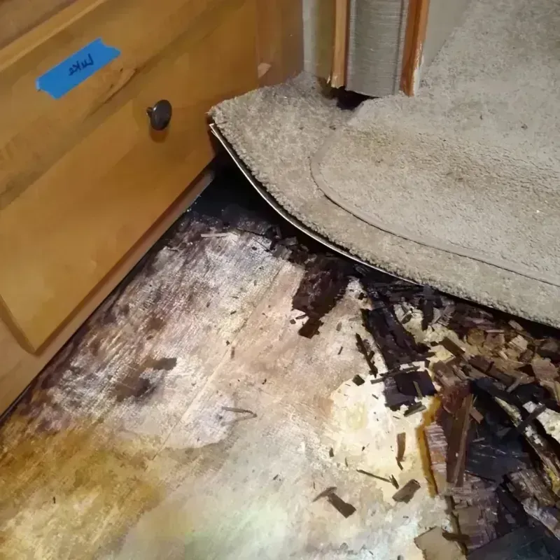 Best Wood Floor Water Damage Service in Crestview, FL